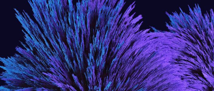 wallpaper nexus 2016