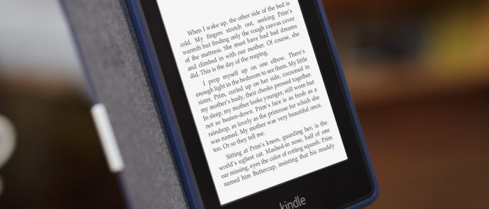 ebook reader