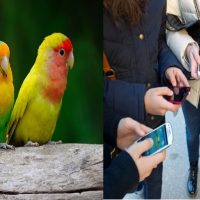 smartphone-e-persone-sempre-insieme