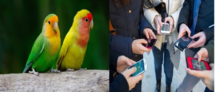 smartphone-e-persone-sempre-insieme