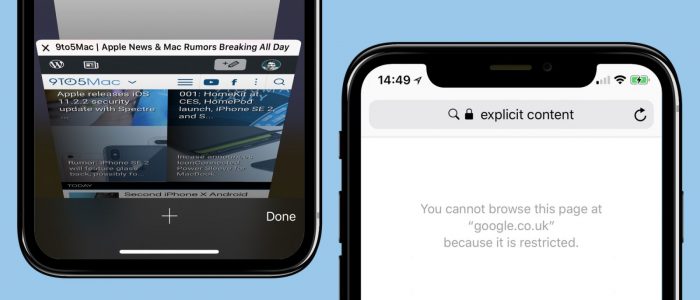 Safari traduzione lingua