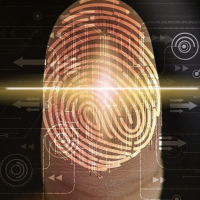 La vita digitalizzata dei giovani dopo l’impatto del Covid