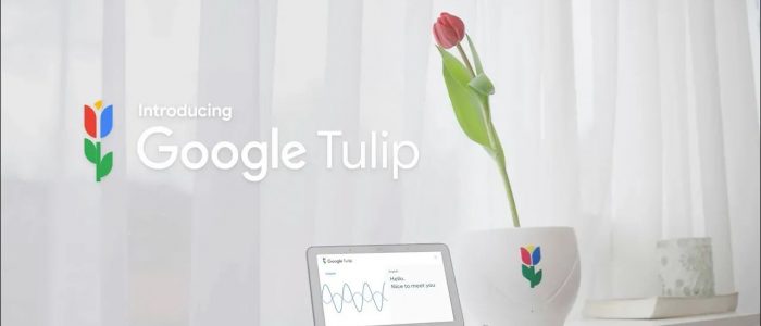 Google pesce d'aprile