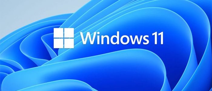 Windows 11