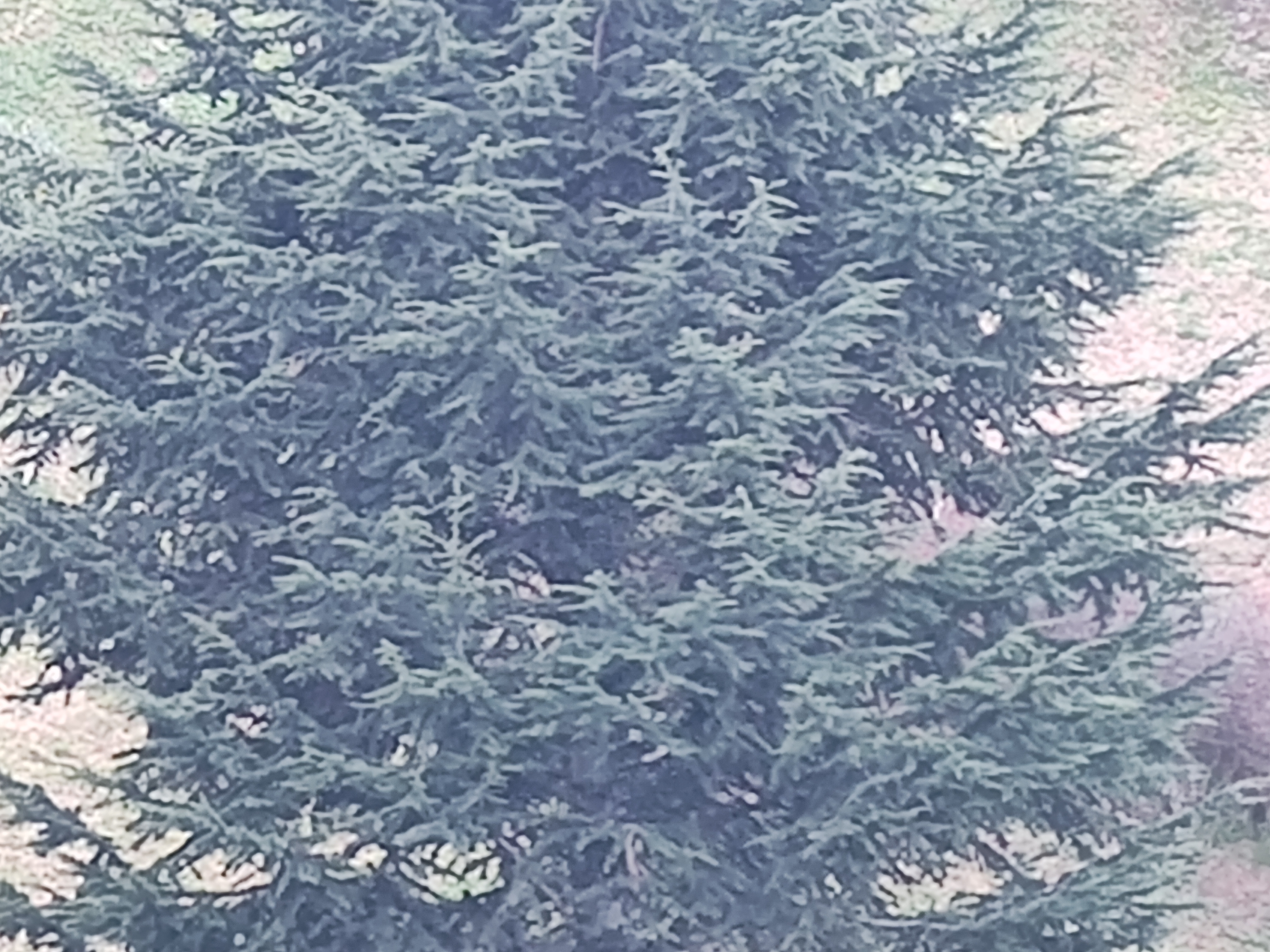 08 ZOOM 16X MOTOROLA EDGE 30 ULTRA