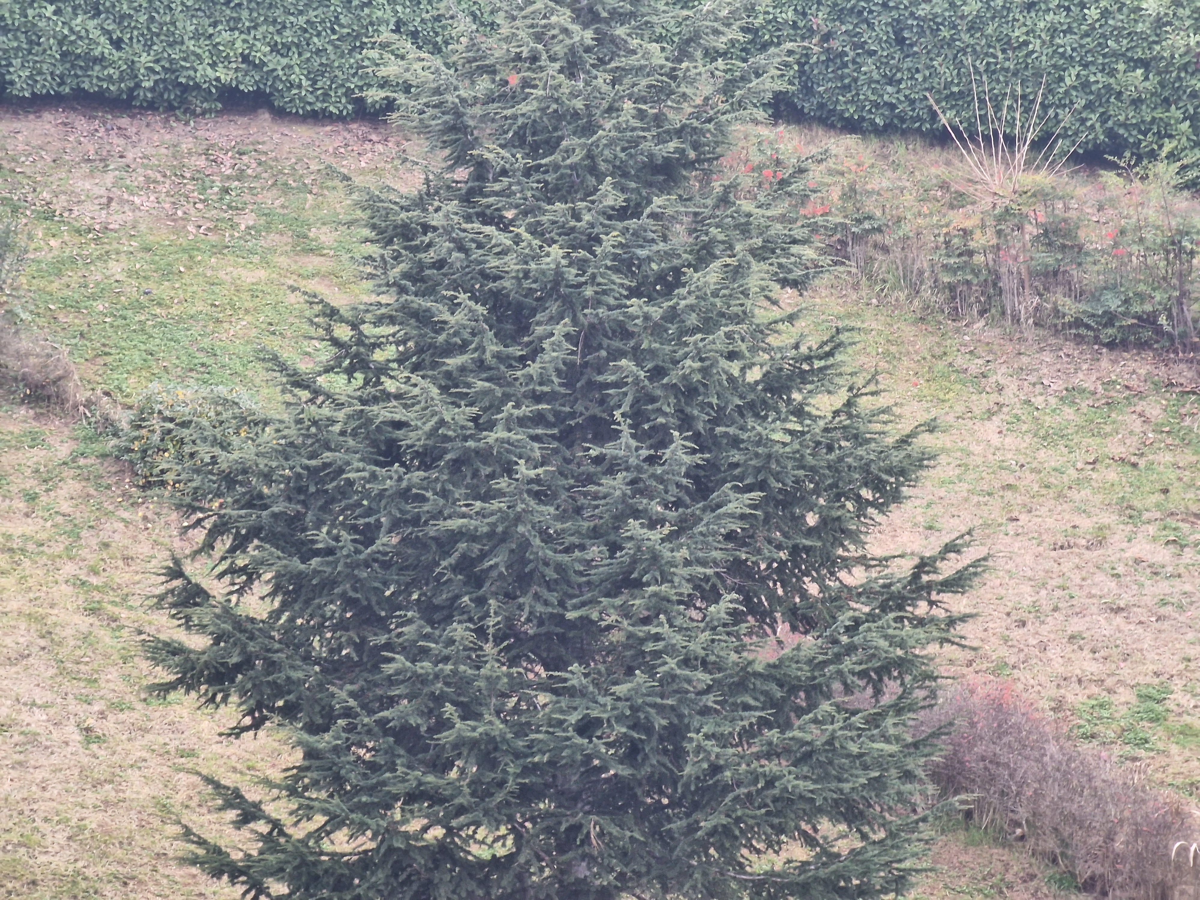 12 ZOOM 10X SAMSUNG GALAXY S22 ULTRA