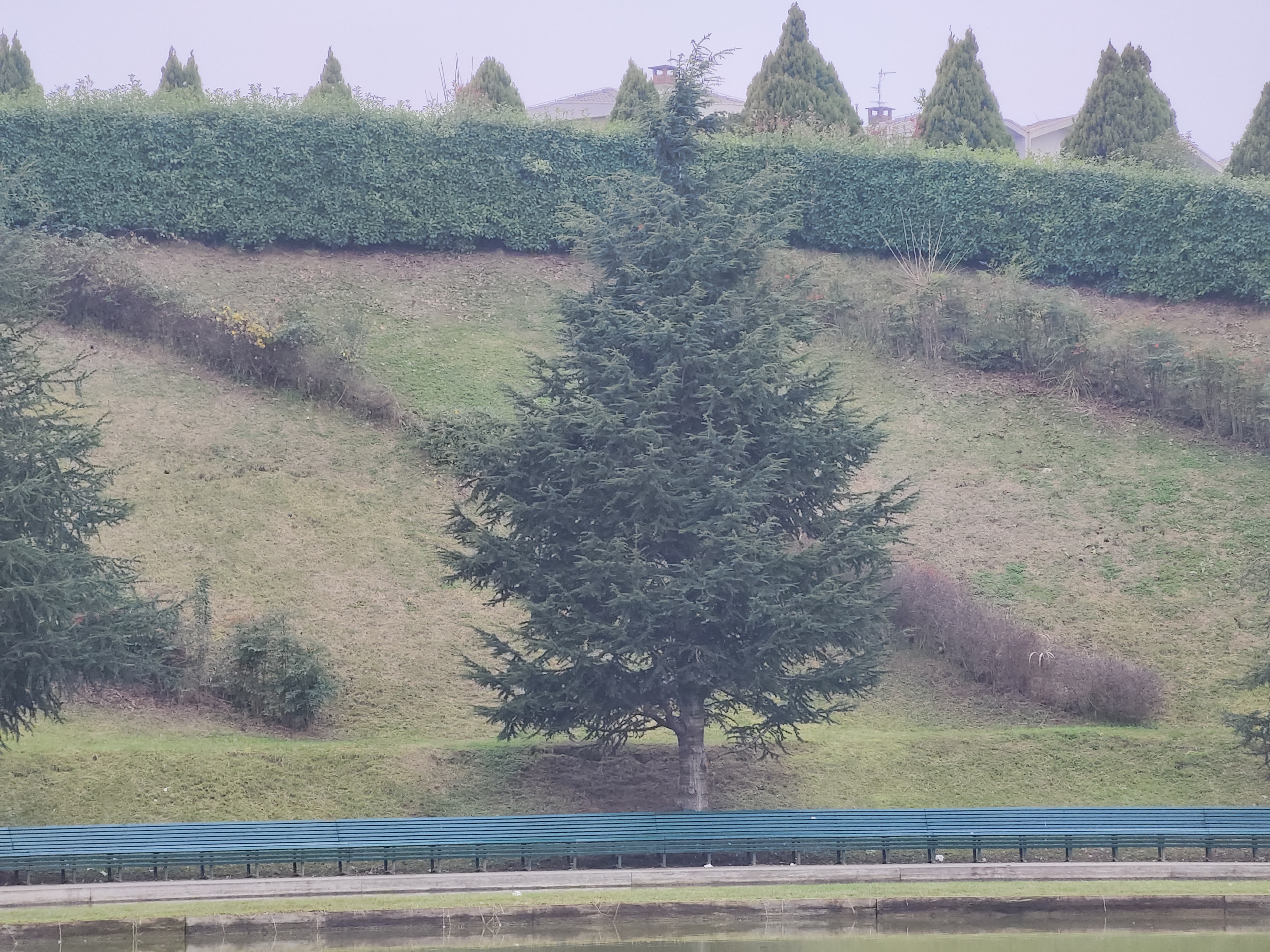 15 ZOOM 5X VIVO X80 PRO