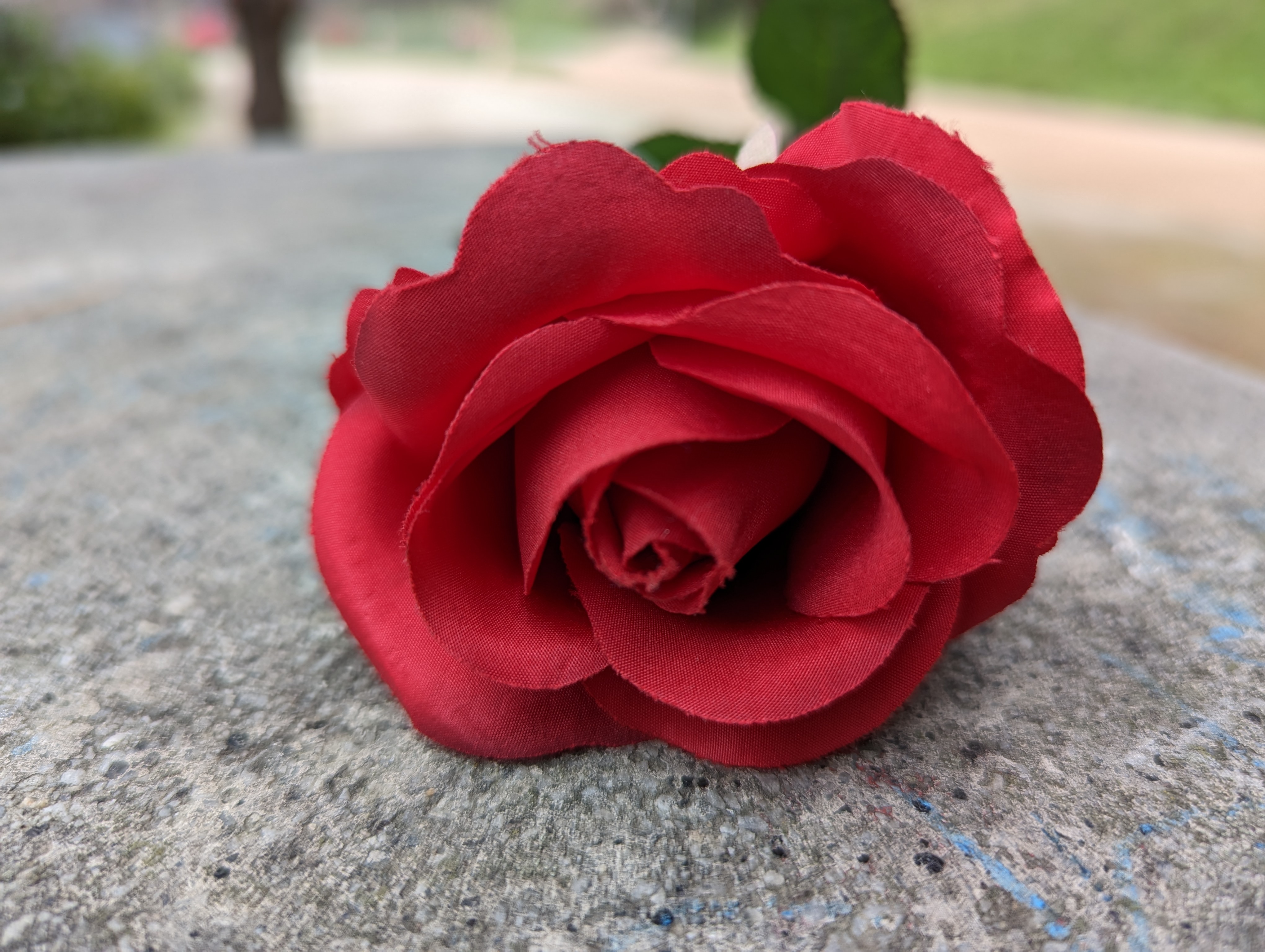 FIORE GOOGLE PIXEL 7 PRO