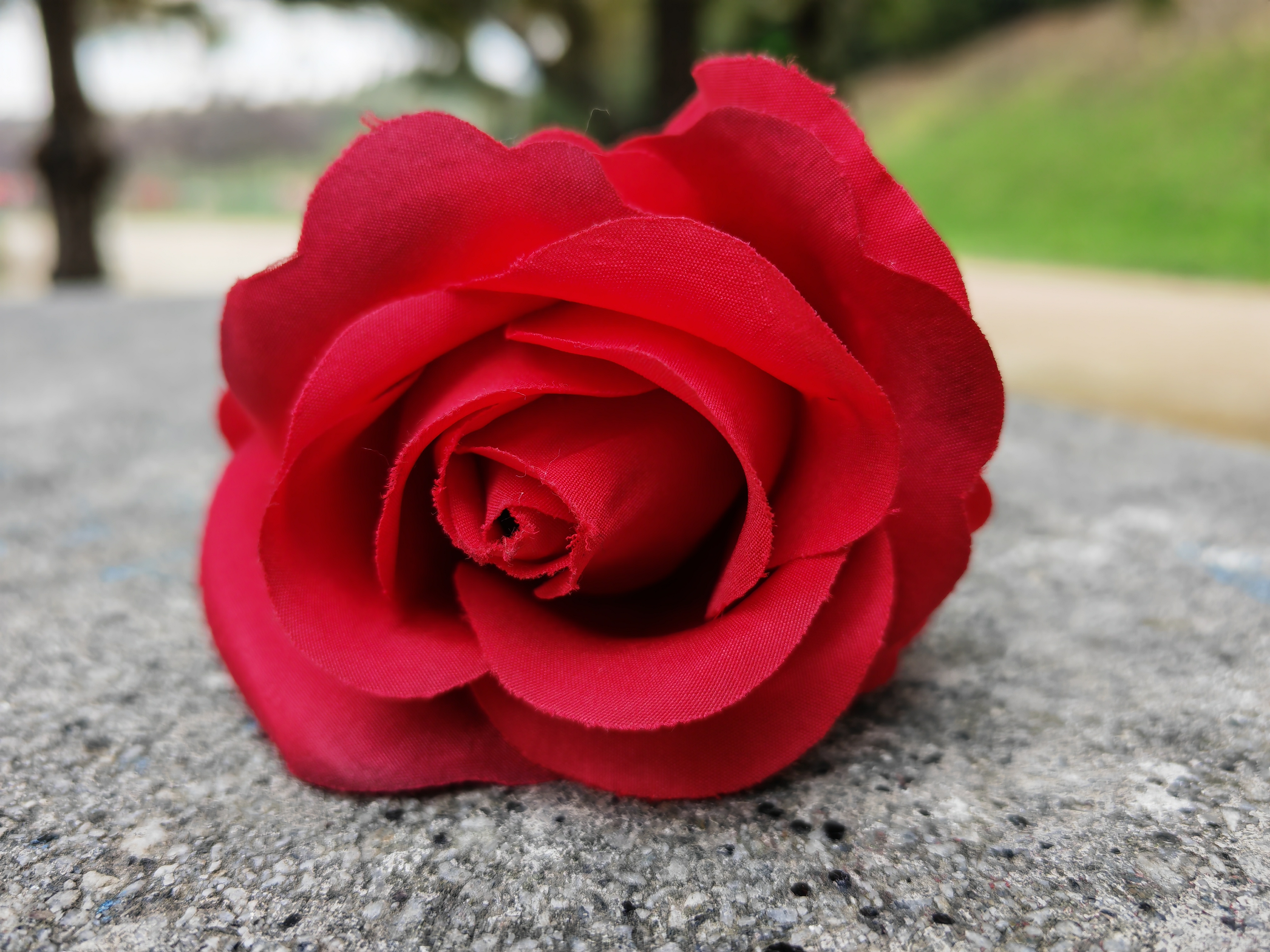 FIORE HONOR MAGIC 4 PRO