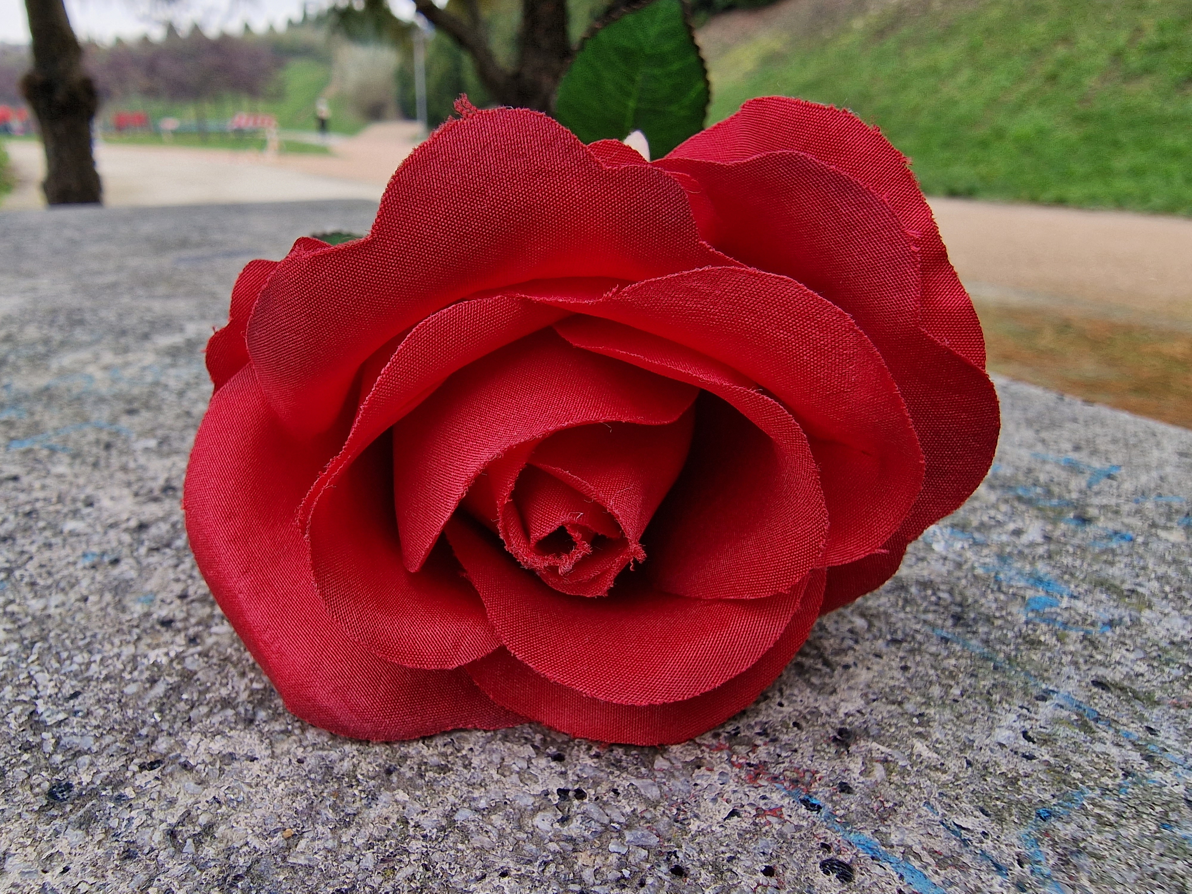 FIORE SAMSUNG GALAXY S22 ULTRA