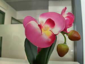 FIORE INTERNO HUAWEI P60 PRO