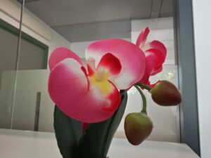 FIORE INTERNO XIAOMI 13 PRO