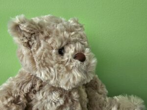 ORSETTO INTERNO SAMSUNG S23 ULTRA