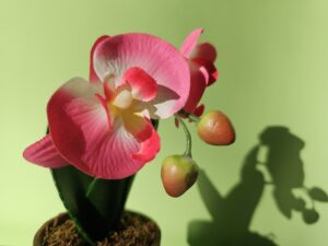 FIORE SAMSUNG S23 ULTRA