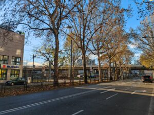 STANDARD DAY HONOR MAGIC5 PRO