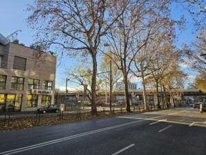 STANDARD DAY SAMSUNG S23 ULTRA