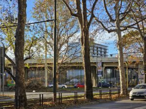 ZOOM DAY 3X SAMSUNG S23 ULTRA